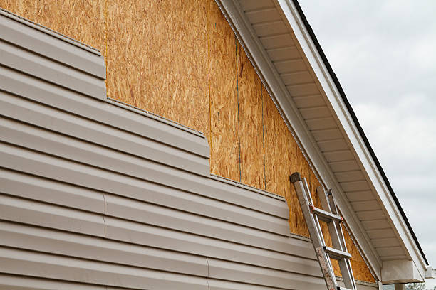 Professional Siding Inspection technician working in Lincoln, IL